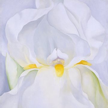 georgia o'keeffe, iris blanc, flower power, flower art, museo nacional thyssen bornemisza